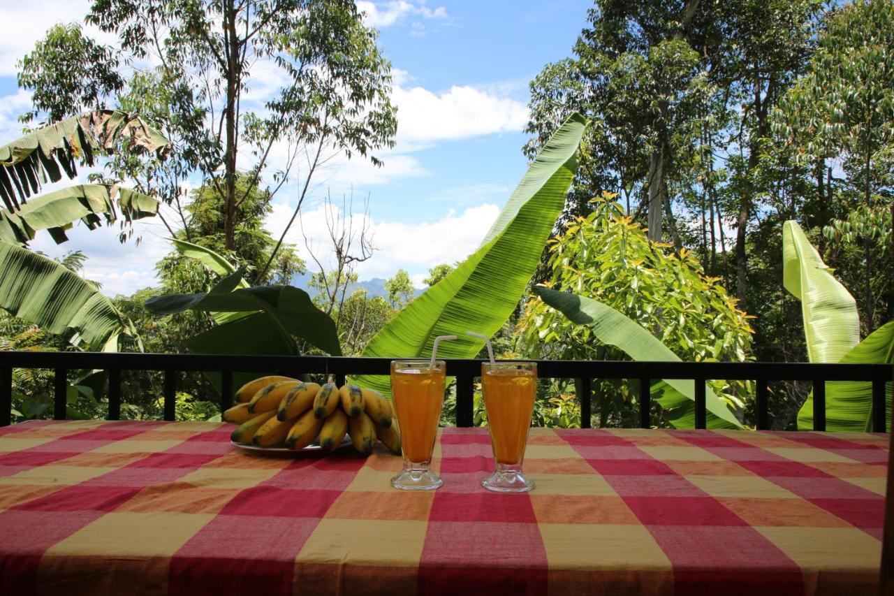 The Bliss Homestay Ella Ngoại thất bức ảnh